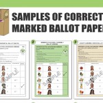 IEBC ballot sample